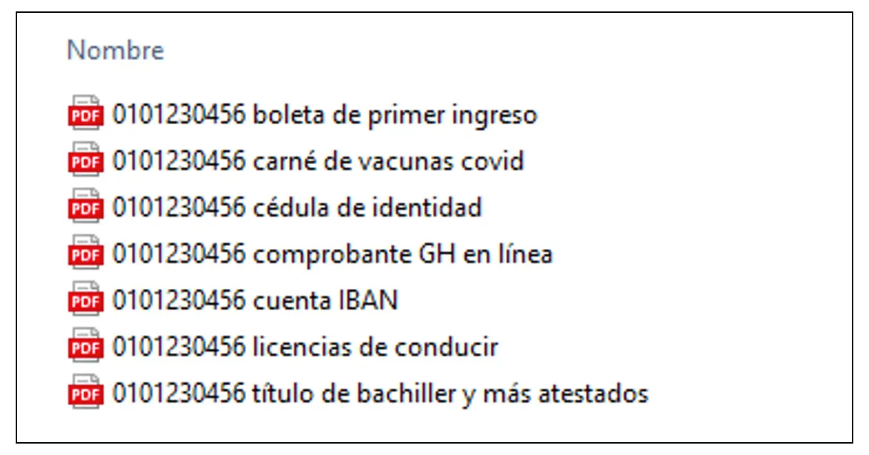 Lista de archivos PDF como ejemplo